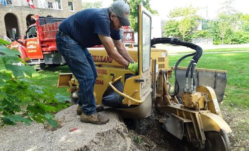 Larry Gilliland Stump Removal 2895 E Mel Currie Rd, Bloomington Indiana 47408