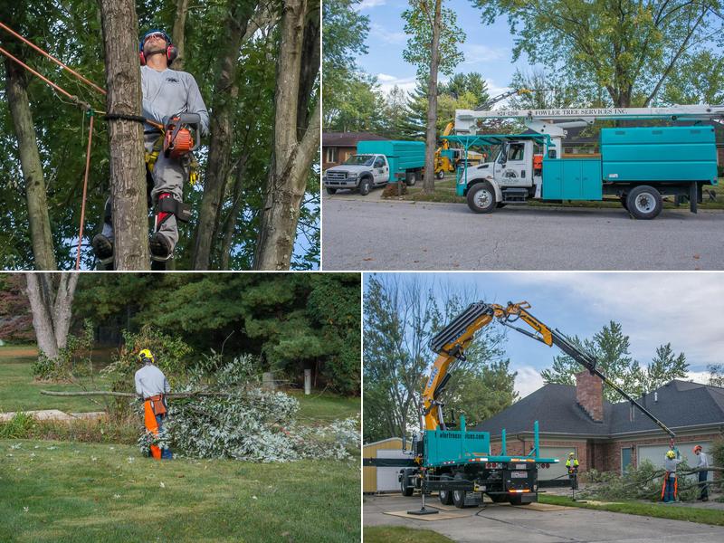 Fowler Tree Services