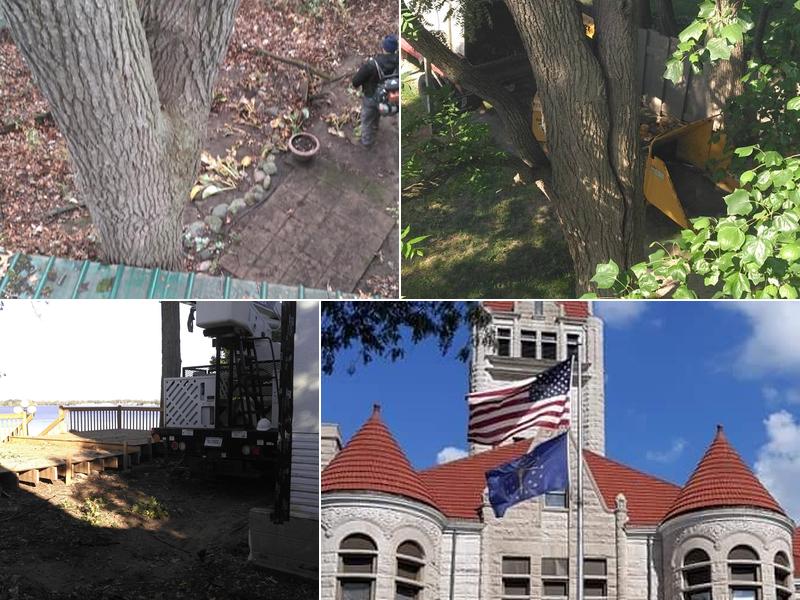 Ugly Truck Tree Service