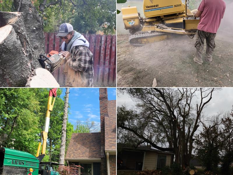 Arms Affordable Tree Service