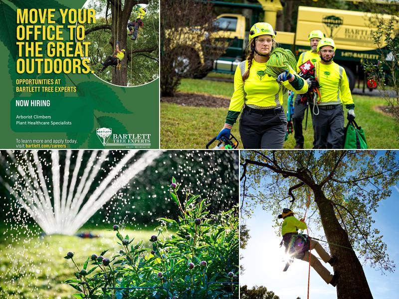 Bartlett Tree Experts