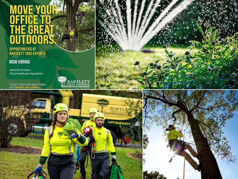 Bartlett Tree Experts