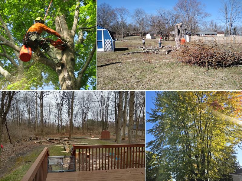 S & S Property Maintenance