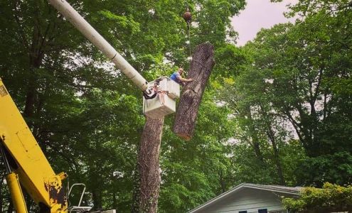 Blue Collar Tree Care 2100 Beech St, Terre Haute Indiana 47804