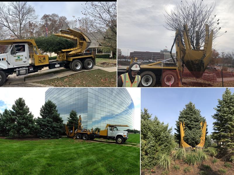 Tree Movers