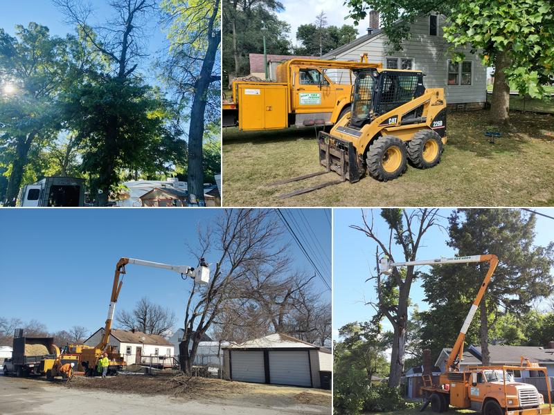 Action's Tree Service