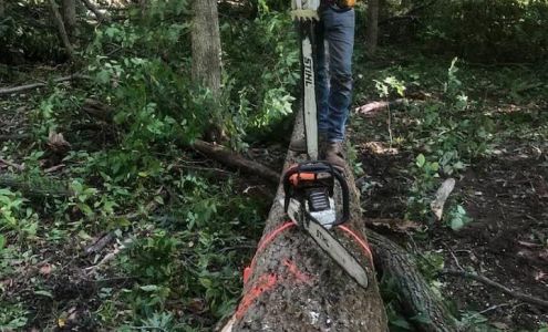 Your Guy Tree Service, LLC 155 Ln 650A Snow Lake, Fremont Indiana 46737