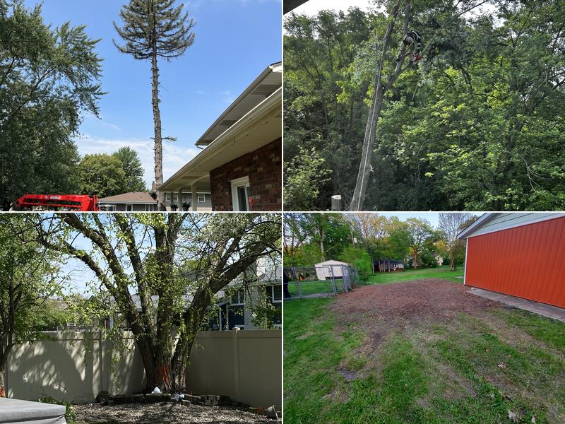 Priced Rite Tree Service