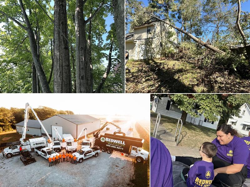 Bedwell Tree Service