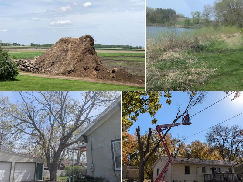 Albert Lea Tree Services