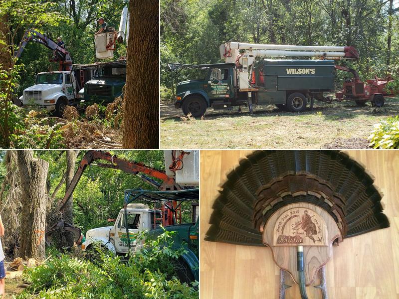 Wilson Custom Tree Services
