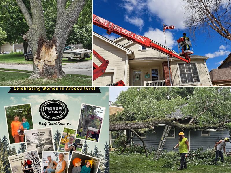 Marv’s Tree Service