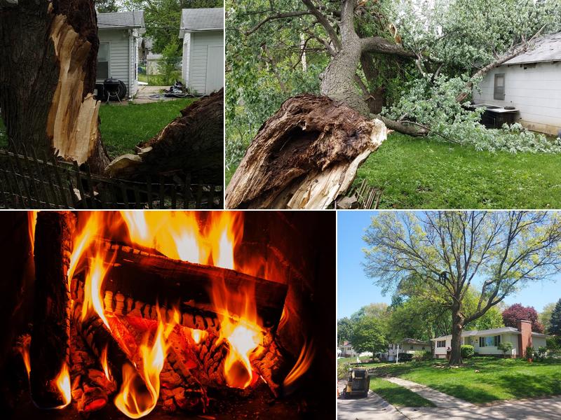 Nebraska Tree & Snow LLC