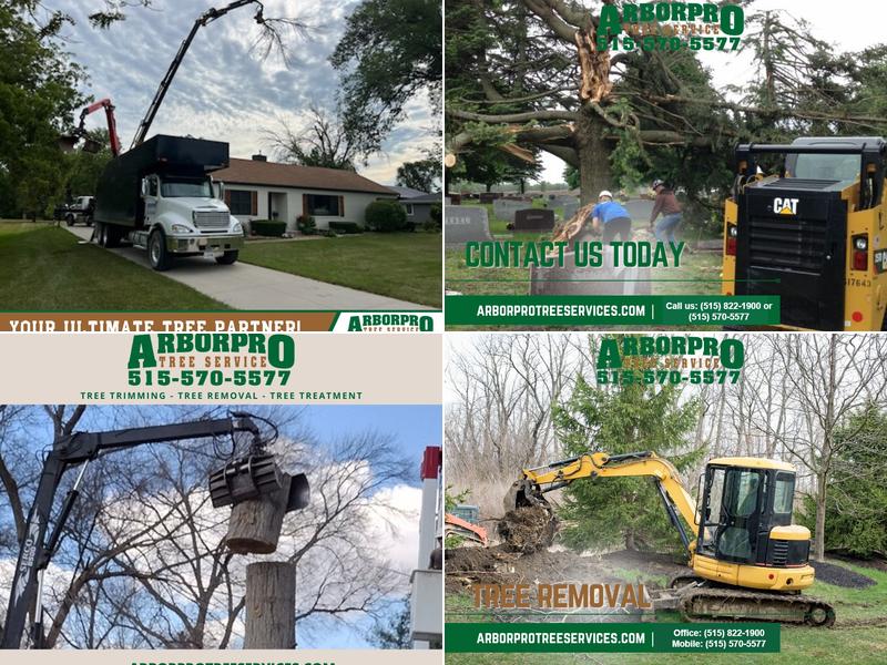 Arborpro Tree Services