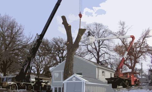 Thate's Tree Service 418 W Margaret St, Fairmont Minnesota 56031
