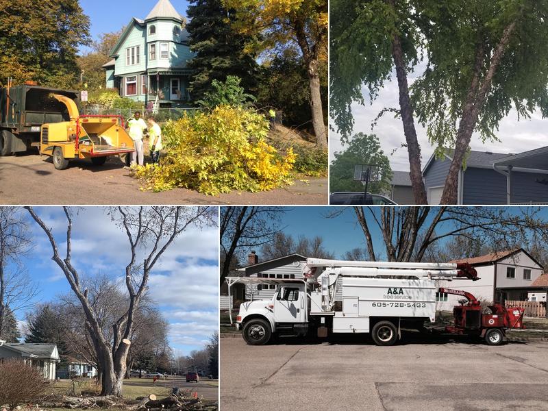 A & A Tree & Shrub Services LLC