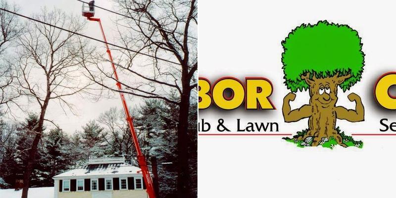 Arbor Care Tree Shrub & Lawn