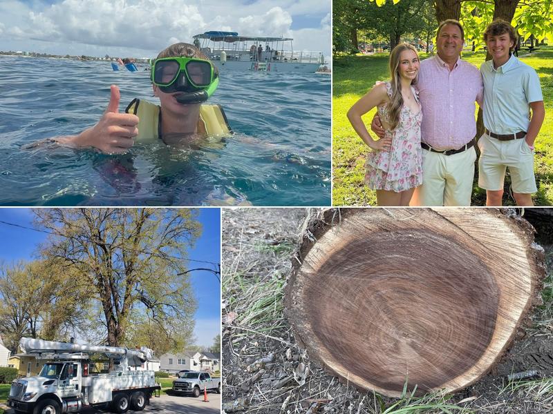 RedHawk Tree Service