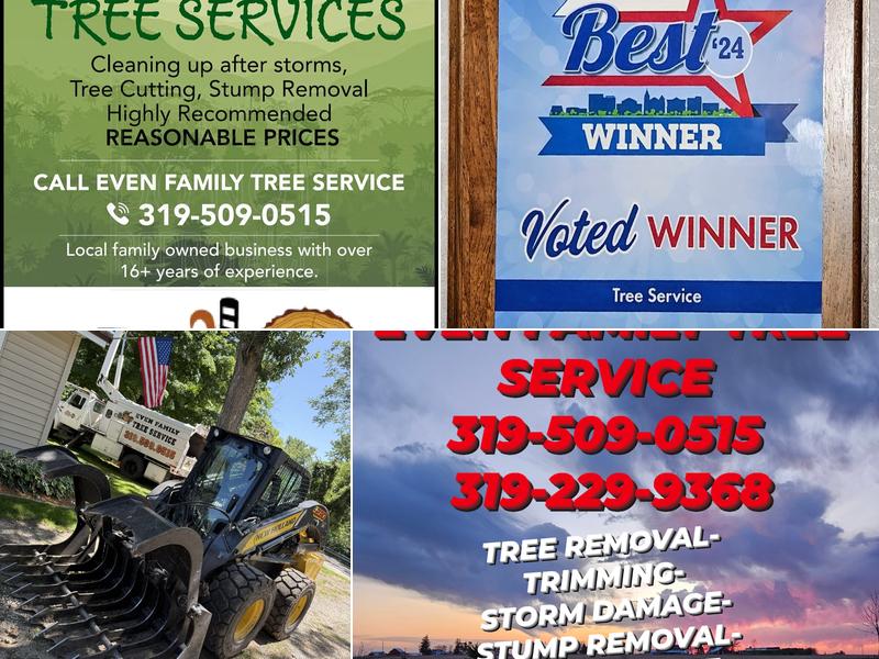 Even Family Tree Removal