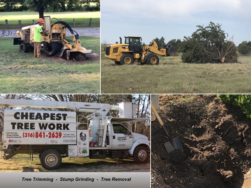CHEAPEST TREE WORK