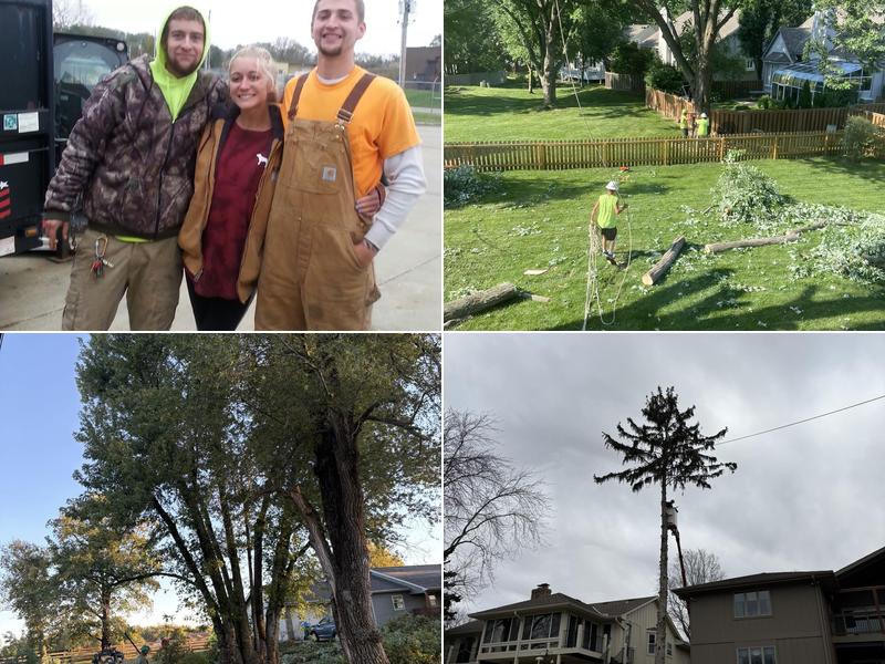 Stewart's Tree Mend Us Care