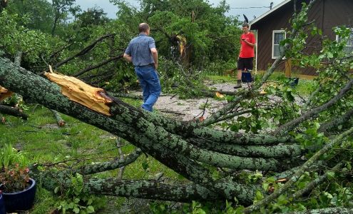 Schonberg Tree Service LLC 960 E 2000 Rd, Eudora Kansas 66025