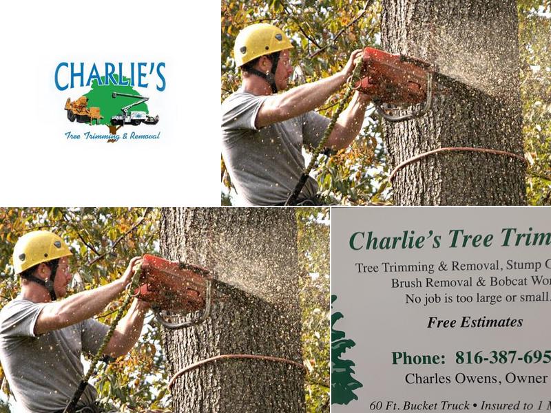 Charlie's Tree Trimming and Removal