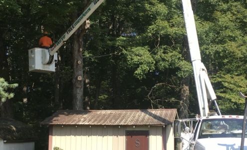 Ray's Tree Service, LLC 301 Whitlock Rd, Campbellsville Kentucky 42718