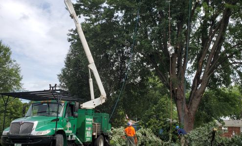 The Blankenship Tree Service 4769 Knob Creek Rd, Brooks Kentucky 40109