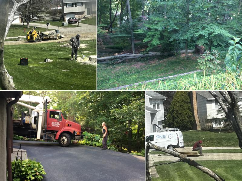 Beaver Tree Services LLC