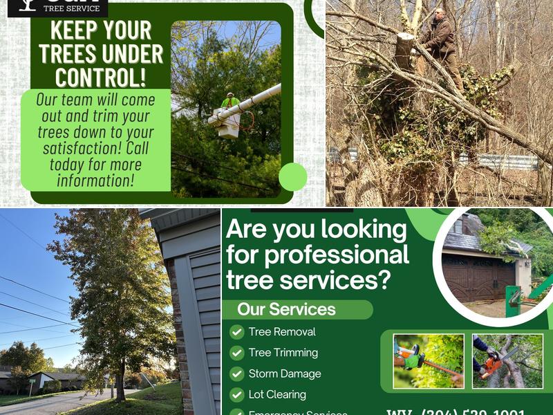 C & A Tree Service