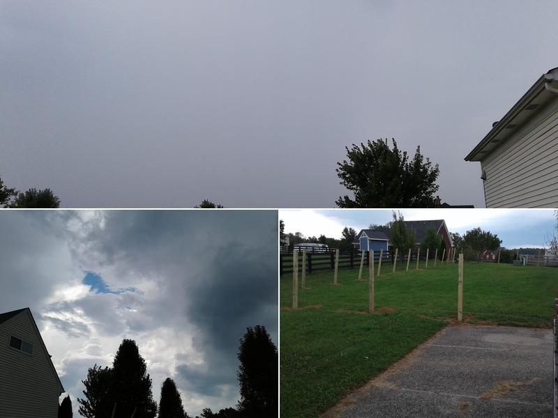 Olive Branch Tree Care