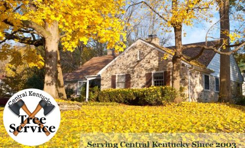 Central Kentucky Tree Service 3417 Old Frankfort Pike, Versailles Kentucky 40383