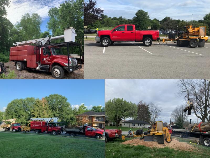 Tree Contractors LLC