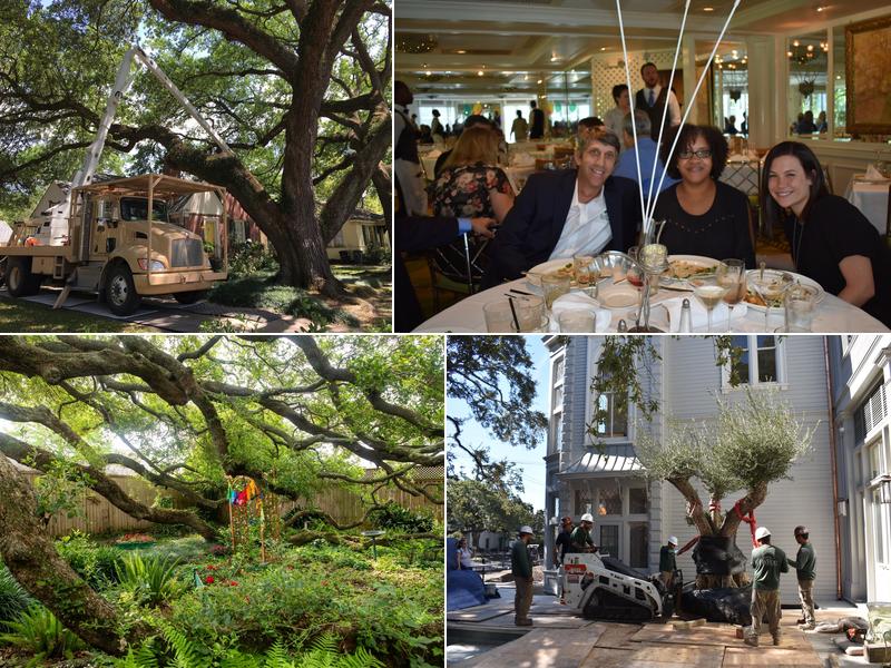 Bayou Tree Service, Inc.