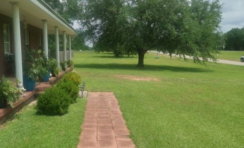 Mc Craney's Tree Services