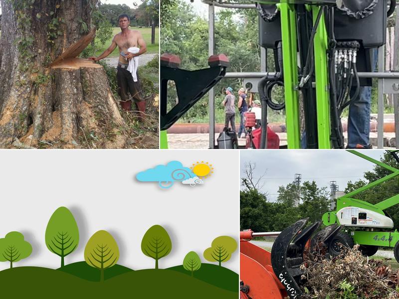 Marks Tree Service LLC