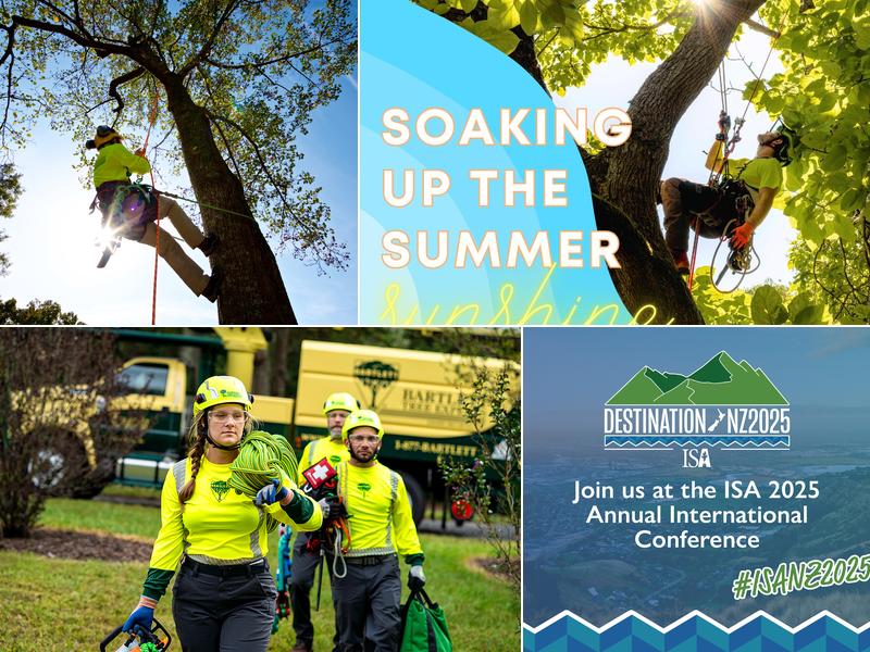 Bartlett Tree Experts