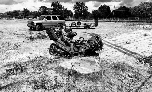 Patteson Stump Grinding