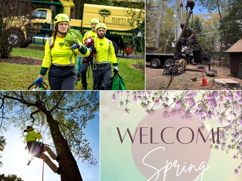 Bartlett Tree Experts