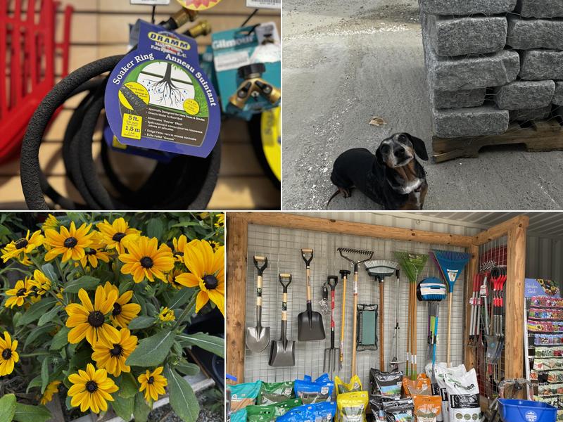 York Woods Tree & Products