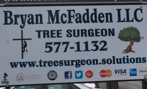 Bryan McFadden LLC Tree Surgeon