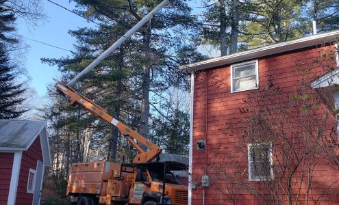 Carter Tree Service 38 Wilder Hill Rd, Norridgewock Maine 04957