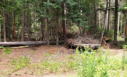 Davis Tree Expert Co 640 W Milan Rd, Milan New Hampshire 03588