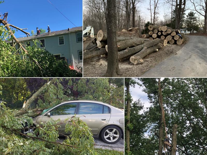 Cutting Edge Tree Experts LLC