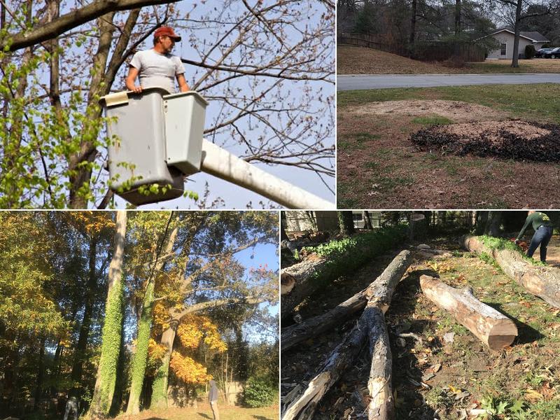 Greenleaf Tree Service