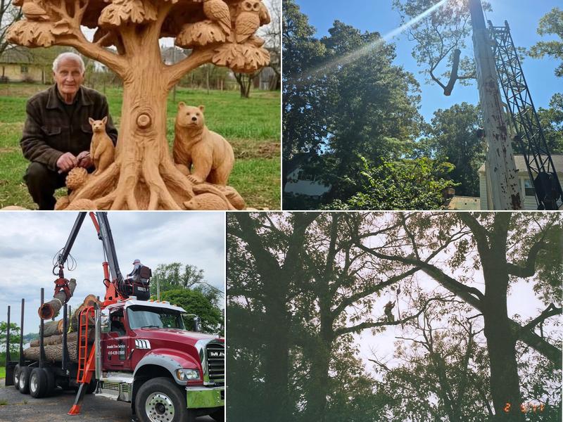 Arundel Tree Service