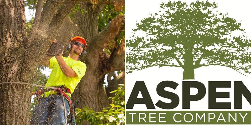 Aspen Tree Company, Inc.