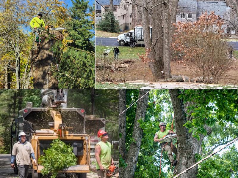 Dubois Tree Service, Inc