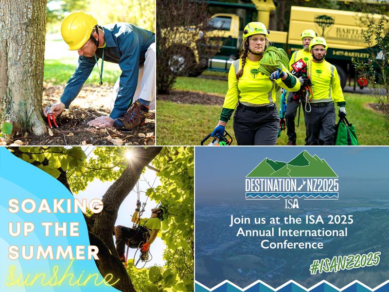 Bartlett Tree Experts